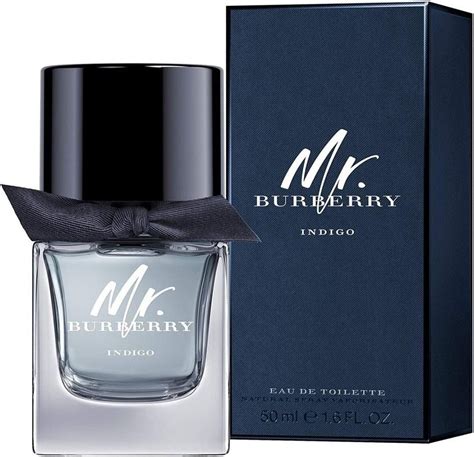 mr burberry eau de toilette amazon|mr Burberry indigo 50ml.